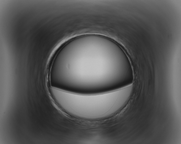 X0000086021511200703230921