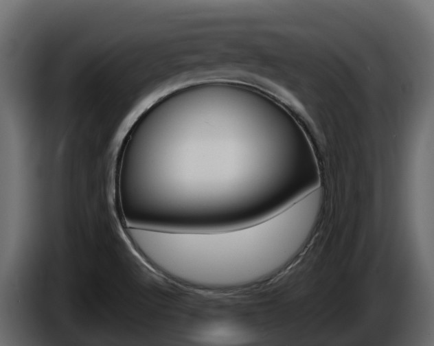X0000086021512200703230921
