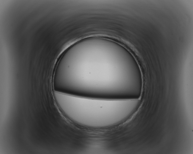 X0000086021513200703230921