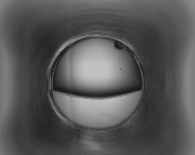 X0000086021515200703230921