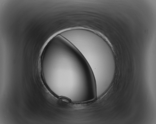 X0000086021516200703230921