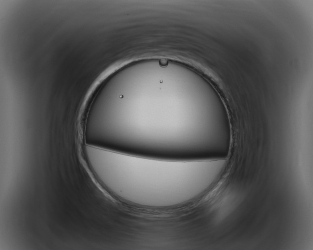 X0000086021517200703230921