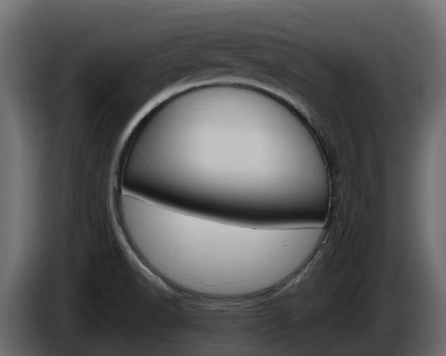 X0000086021518200703230921