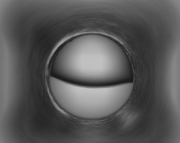 X0000086021519200703230921