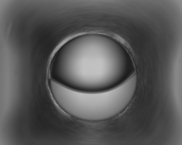 X0000086021520200703230921