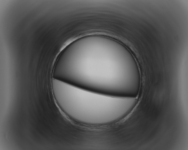 X0000086021521200703230921