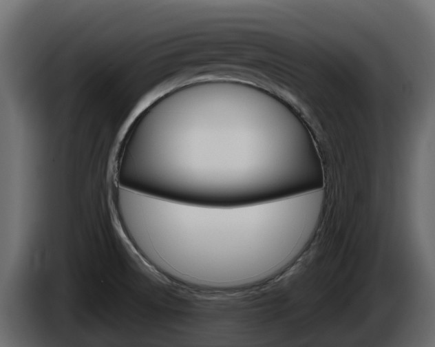 X0000086021522200703230921