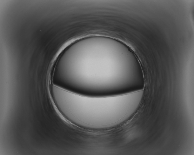 X0000086021523200703230921