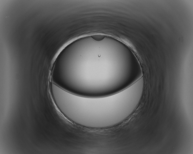 X0000086021524200703230921