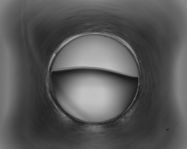 X0000086021525200703230921