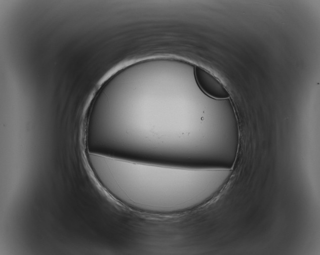 X0000086021526200703230921
