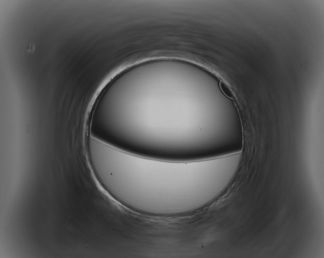 X0000086021527200703230921