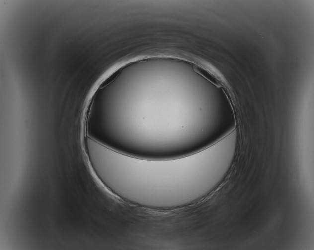 X0000086021528200703230921
