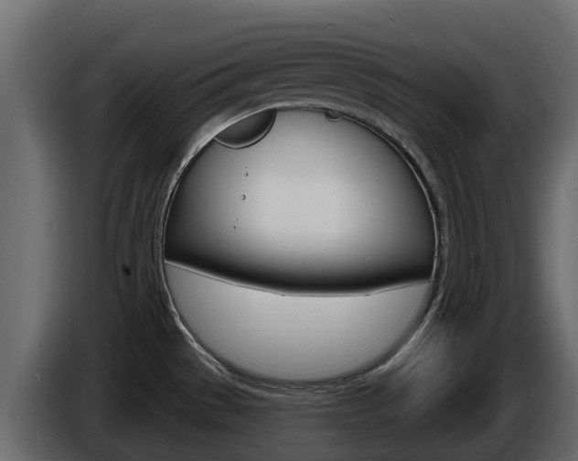 X0000086021529200703230922