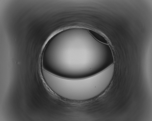 X0000086021530200703230922