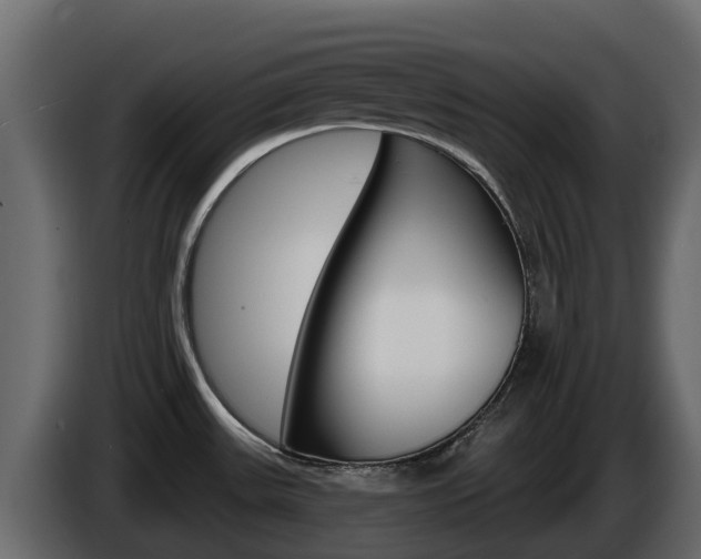 X0000086021531200703230922