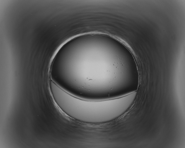 X0000086021532200703230922