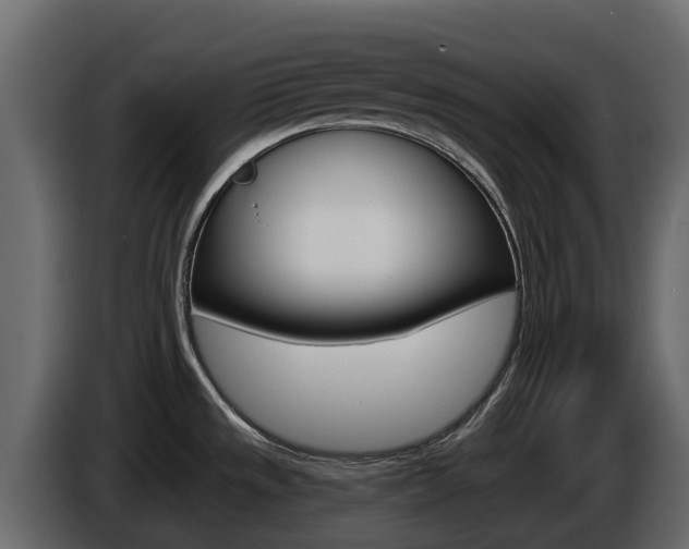 X0000086021533200703230922