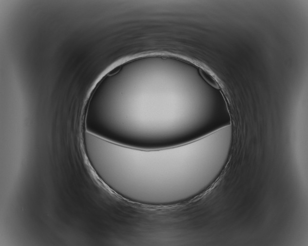 X0000086021534200703230922