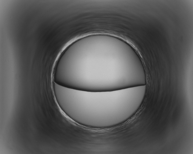 X0000086021535200703230922