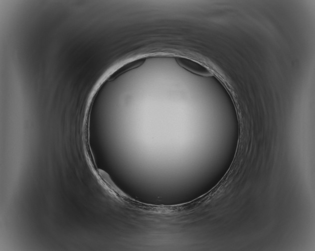 X0000086021536200703230922