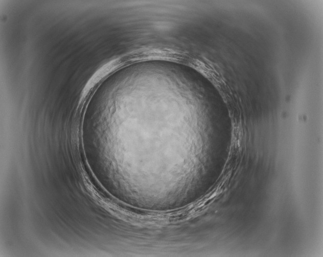 X0000086020004200703231158