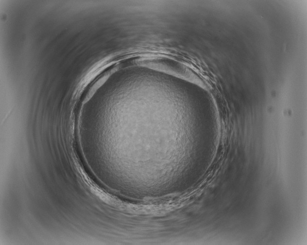 X0000086020005200703231158