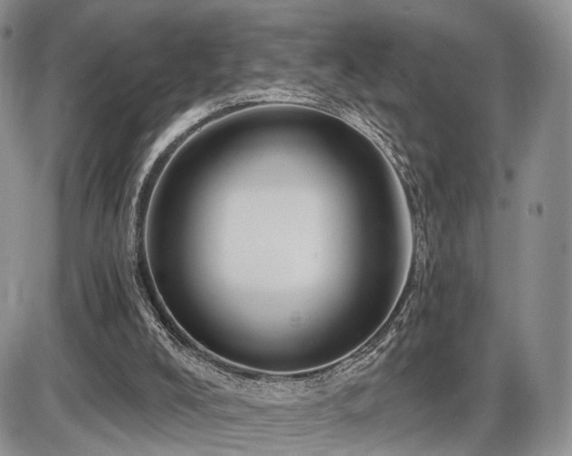X0000086020008200703231158