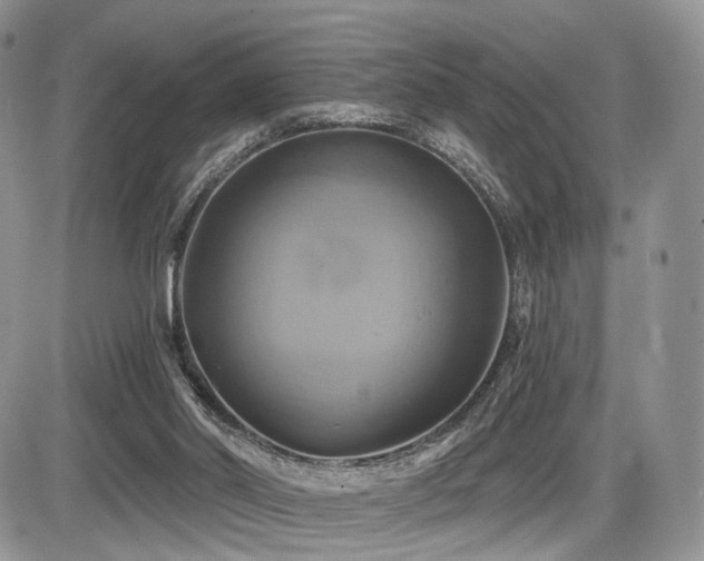 X0000086020014200703231158