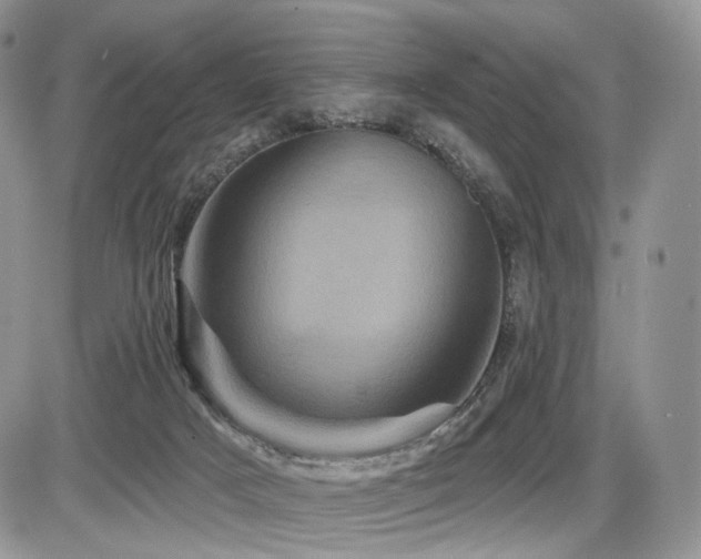 X0000086020025200703231157