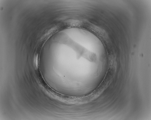 X0000086020028200703231157