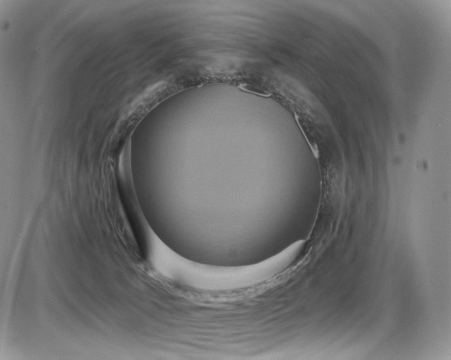 X0000086020033200703231157