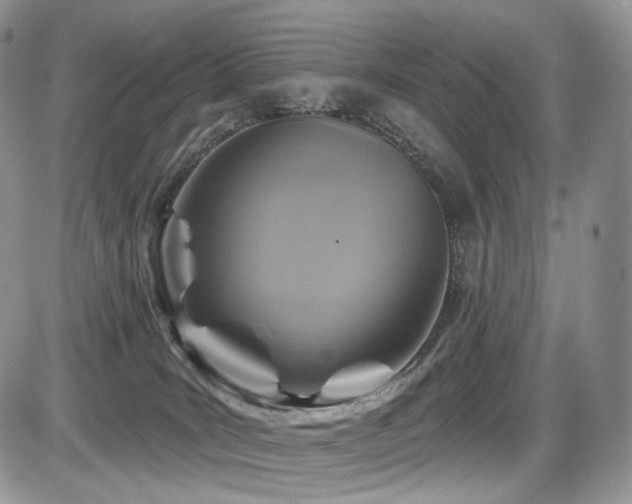 X0000086020035200703231157