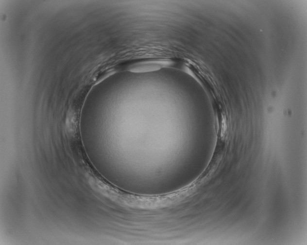 X0000086020037200703231157