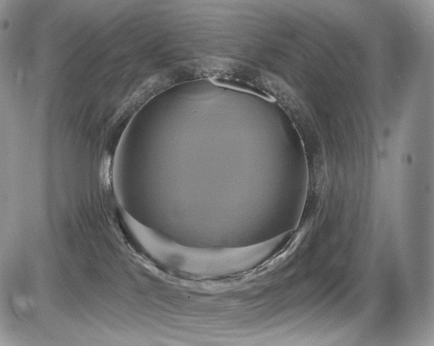 X0000086020041200703231157
