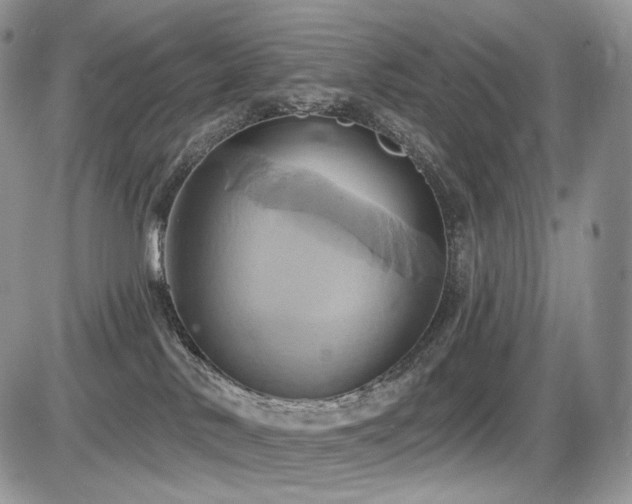 X0000086020042200703231157
