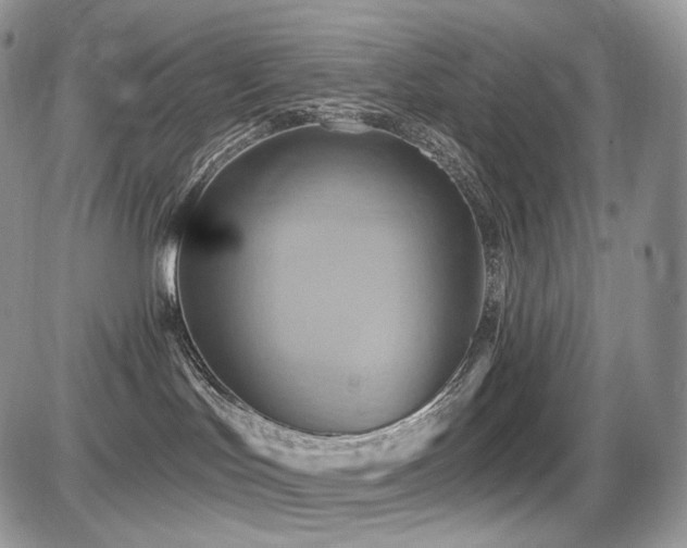 X0000086020047200703231157