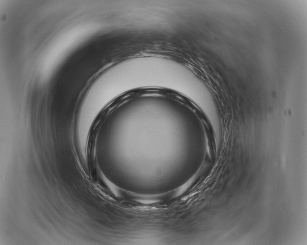 X0000086020052200703231156