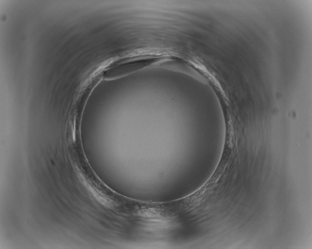X0000086020062200703231156
