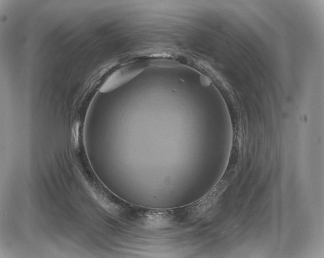 X0000086020070200703231157