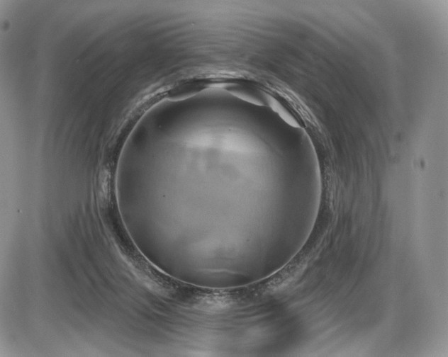 X0000086020071200703231157