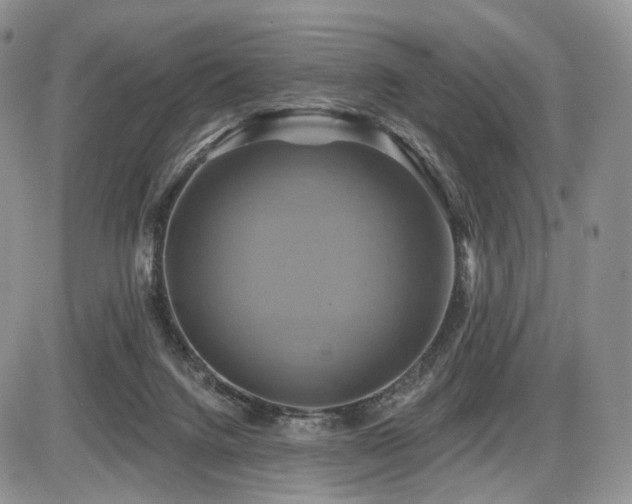 X0000086020072200703231157