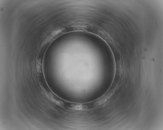 X0000086020083200703231157