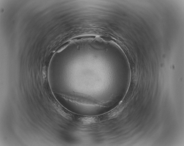 X0000086020085200703231157