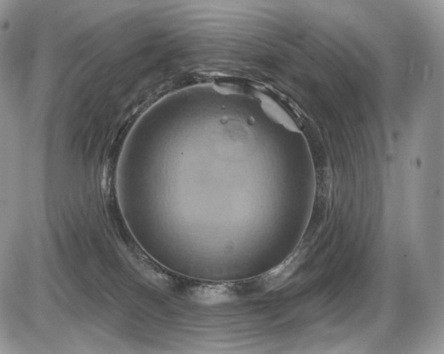 X0000086020086200703231157