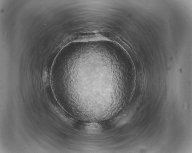 X0000086020087200703231157