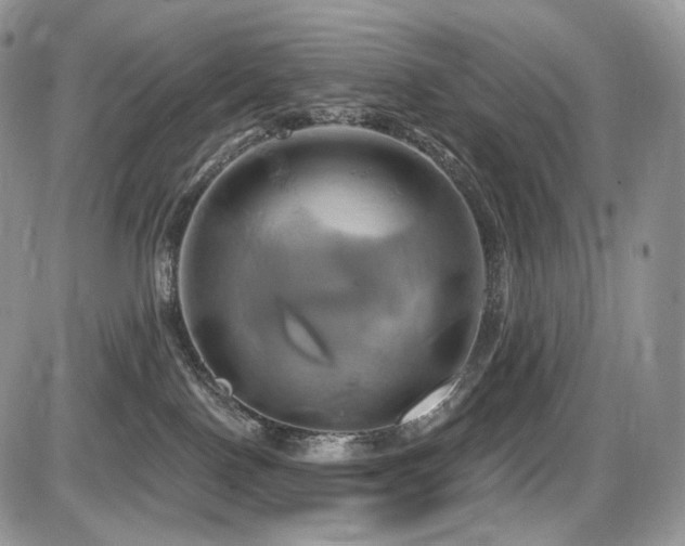X0000086020090200703231157