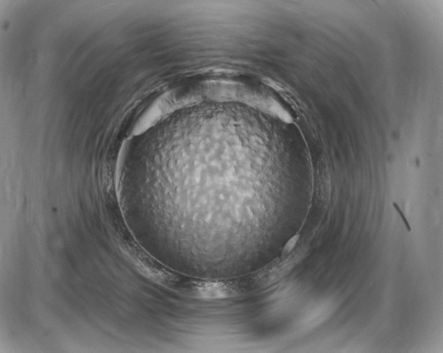 X0000086020091200703231157