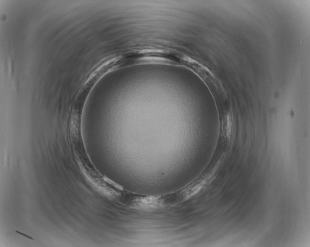 X0000086020092200703231157