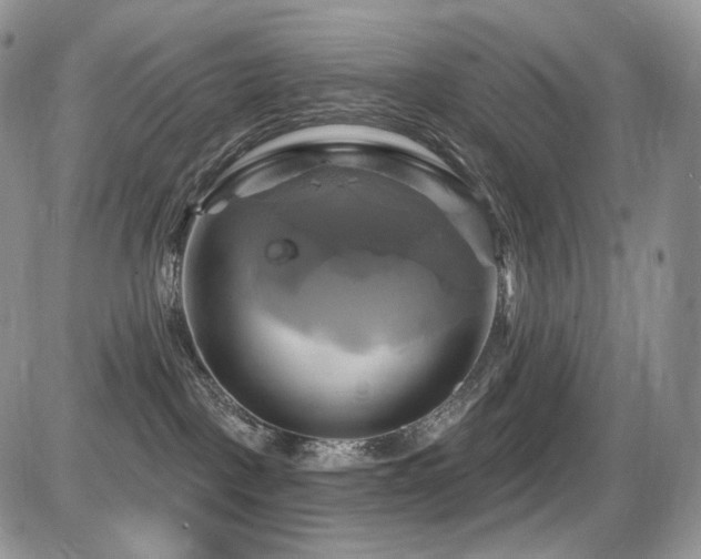 X0000086020093200703231157